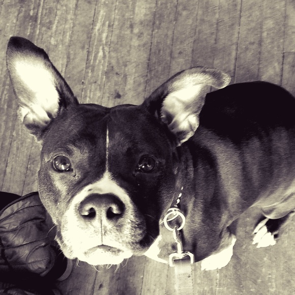 Meet your Posher Kay! - Picture 1 of 1